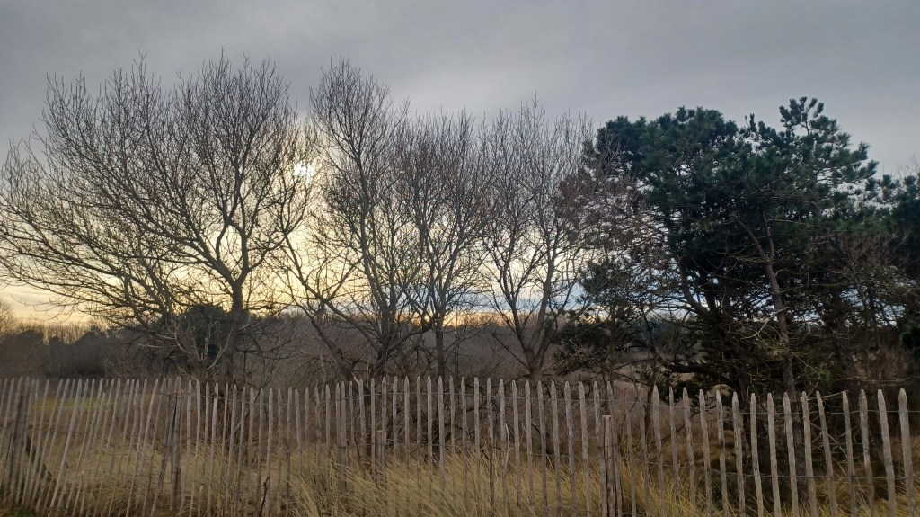 Brief aan de toekomst&nbsp;(2/3)